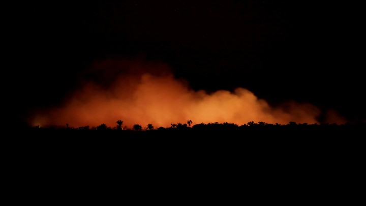 amazon rainforest burning