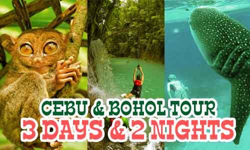 Cebu Bohol tour