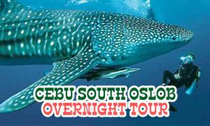 Overnight Oslob Whale Budget