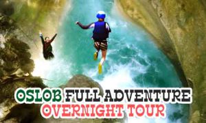 Overnight Oslob Whale full adventure