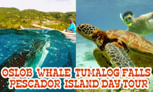 Oslob Whale Tumalog and Pescador Island