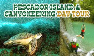 Pescador Island Hopping and Kawasan Canyoneering