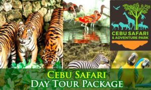 Cebu Safari