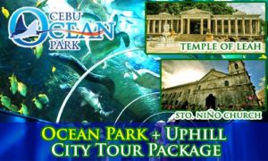 Ocean Park and City with Uphill tour